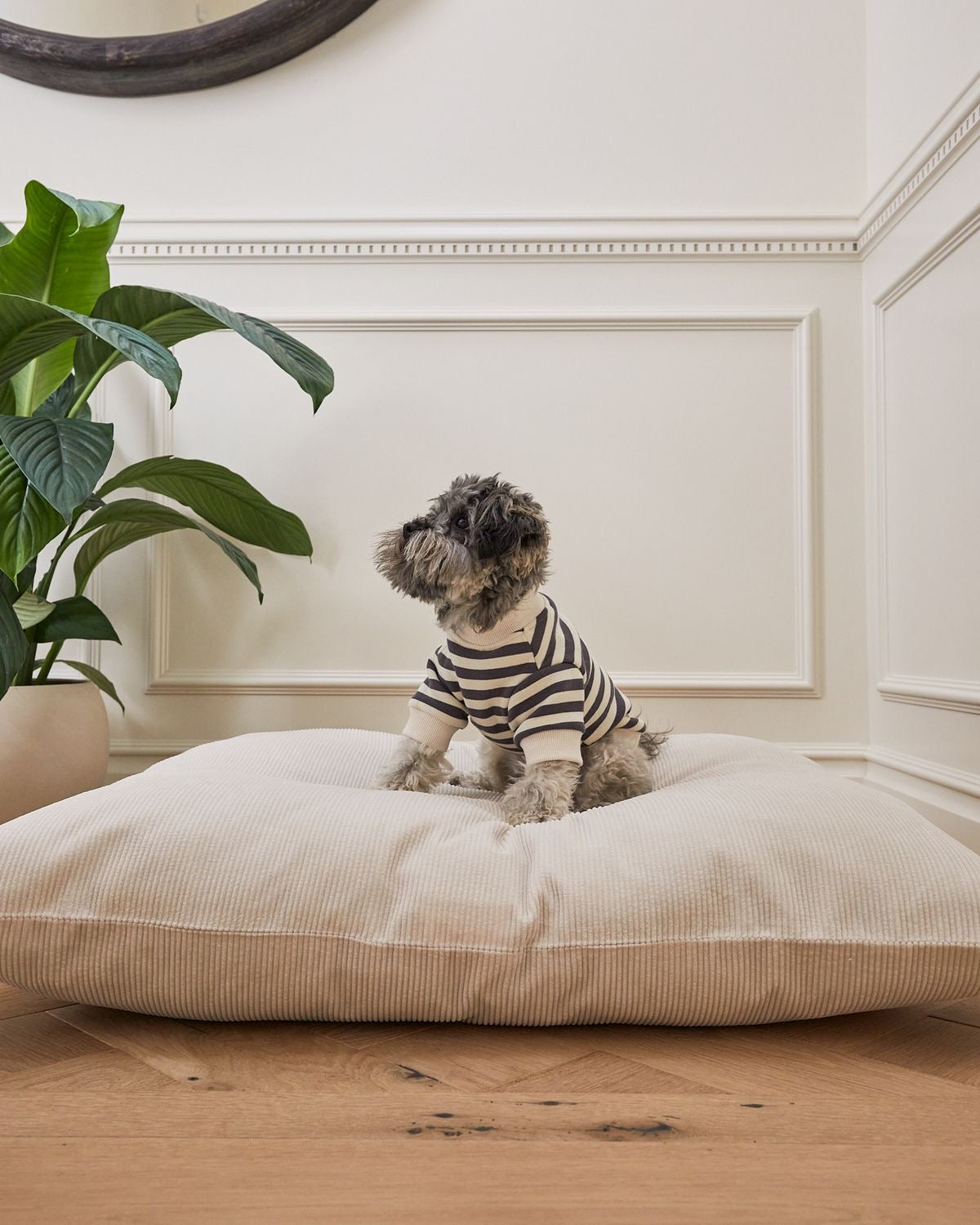 DogLovers