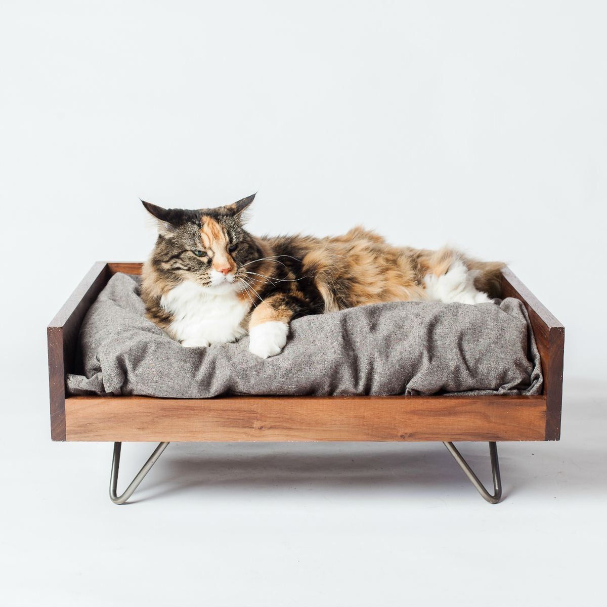 CatLovers