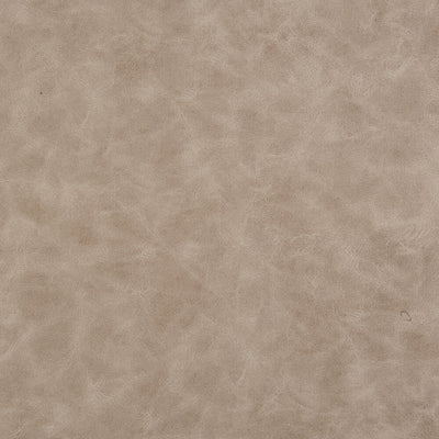 Eco Cuero Patagonia Beige